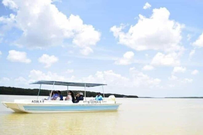 Mérida: a Day in Celestún - Itinerary Details