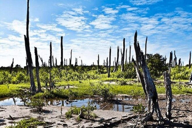 Mérida: a Day in Celestún - Getting There