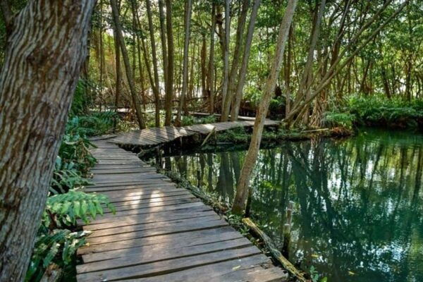 Mérida: a Day in Celestún - What to Bring