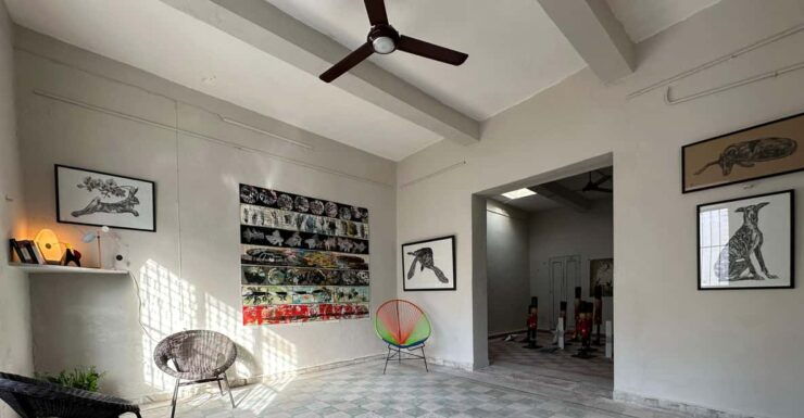 Mérida: an Immersive Experience Visiting Artists' Studios. - The Vibrant Art Scene in Mérida