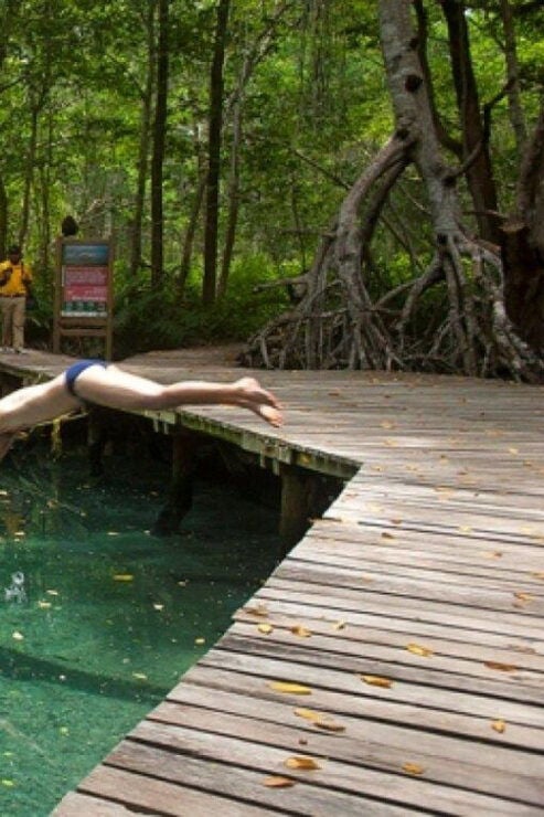 Merida: Celestun Beach and Mangrove Boat Ride Day Trip - Itinerary Highlights
