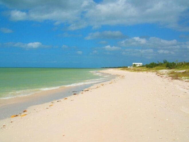 Merida: Celestun Beach and Mangrove Boat Ride Day Trip - Recommendations for Participants