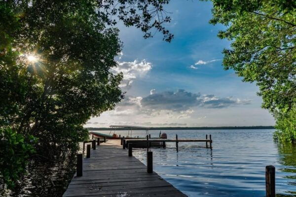 Merida: Celestun Beach and Mangrove Boat Ride Day Trip - Wildlife Spotting in the Mangroves