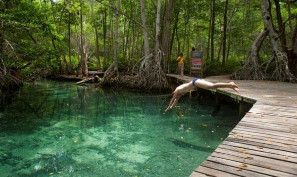 Merida: Celestun Beach and Mangrove Boat Ride Day Trip - Relaxing at Celestun Beach