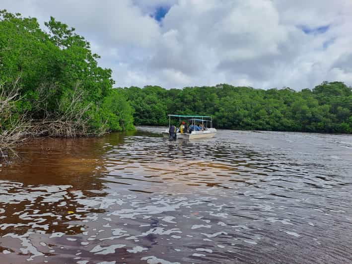 Merida: Celestun Biosphere Reserve Private Tour - Wildlife Experience