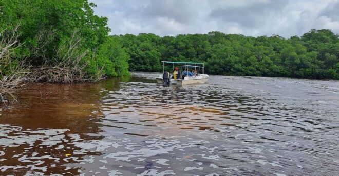 Merida: Celestun Biosphere Reserve Private Tour - Customization Options