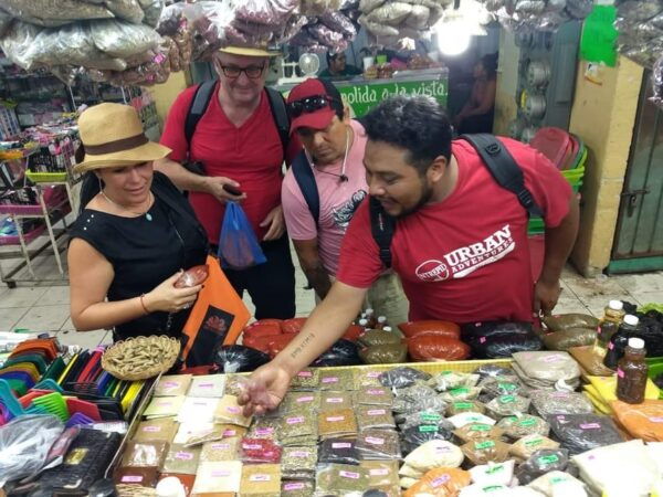 Merida: Cenote Adventure and Local Family Meal Day Trip - Exclusions