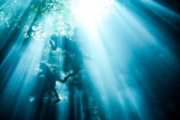 Merida: Cenote Adventure and Local Family Meal Day Trip - Important Considerations