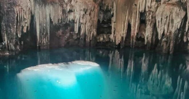 Mérida: Chichen Itza & Cenote Gay Tour - Inclusions
