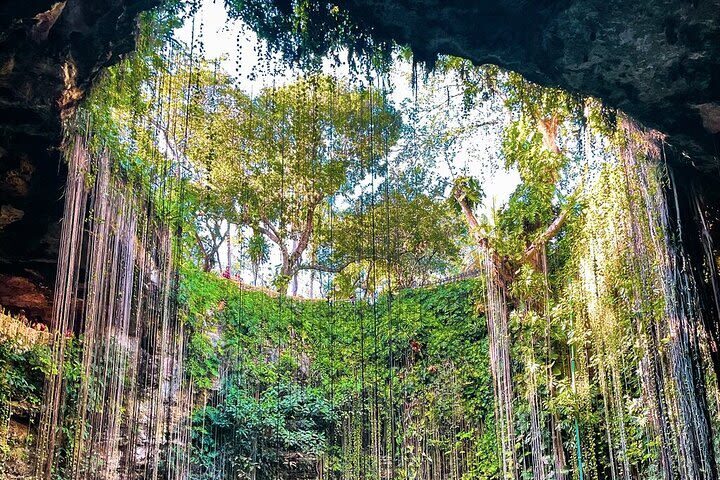 Mérida Chichen Itza & Cenote Yokdzonot Full-Day Small Group Tour - Cenote Yokdzonot brings in a natural stop