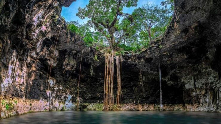 Mérida: Full-Day Sacred Cenotes Tour With Lunch - Itinerary Details