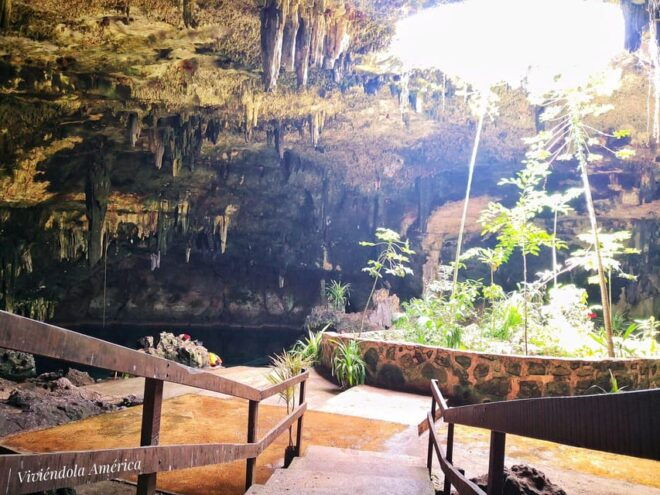 Mérida: Full-Day Sacred Cenotes Tour With Lunch - Cenote Experience