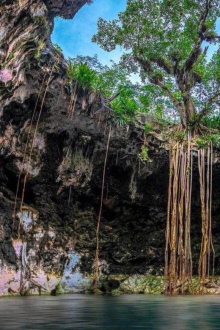 Mérida: Full-Day Sacred Cenotes Tour With Lunch - Included and Excluded