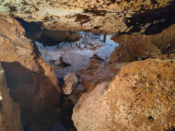 Mérida: Full-Day Sacred Cenotes Tour With Lunch - Price and Duration