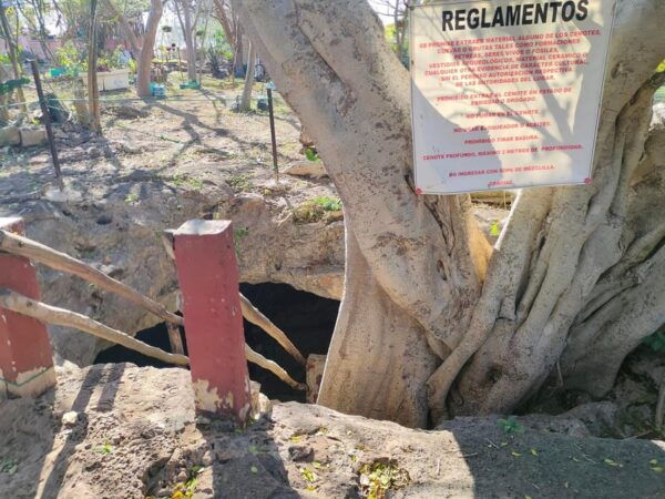 Mérida: Full-Day Sacred Cenotes Tour With Lunch - Languages and Cancellation
