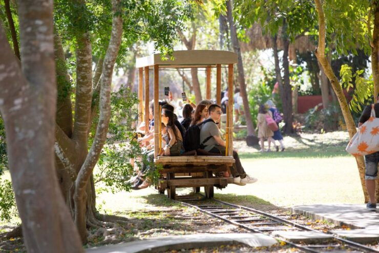 Merida: Hacienda Sotuta De Peon W/ Cenote & Henequen Tour - Duration and Flexibility