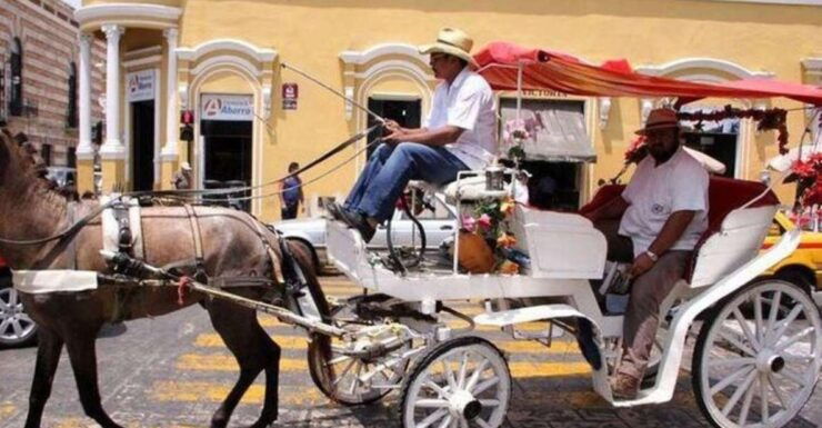 Mérida: Horse-Drawn Carriage Experience - Highlights of the Horse-Drawn Carriage Tour