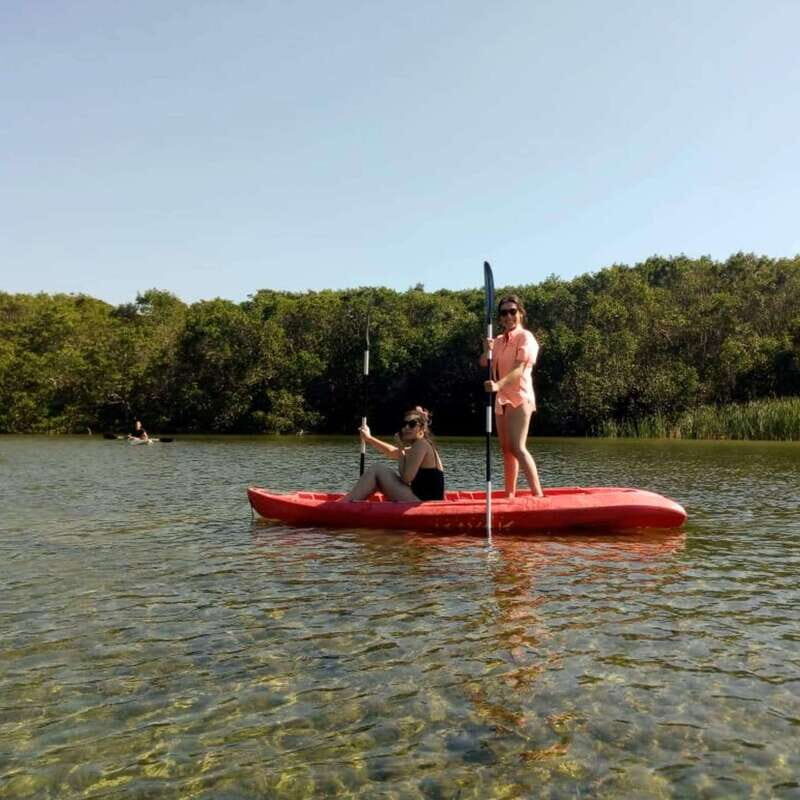 Merida: Kayaking and Bird Sanctuary in Sisal - Good To Know