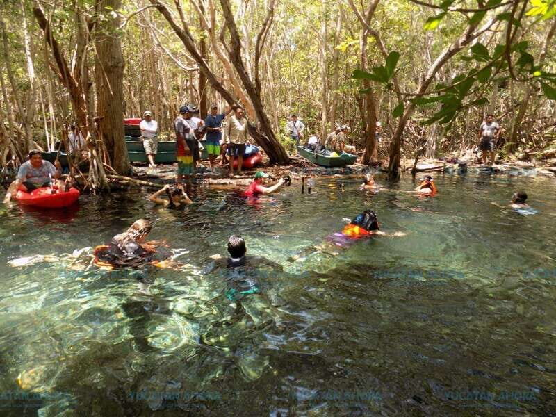Merida: Kayaking and Bird Sanctuary in Sisal - A Complete Look at the Sisal Kayaking and Bird Sanctuary Tour