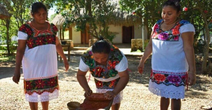 Merida: Mayan Community Cultural Immersion - Booking Information