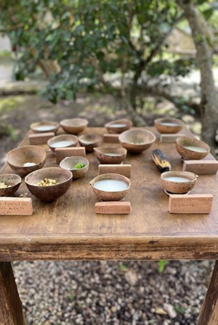 Merida: Mayan Community Cultural Immersion - Cultural Immersion Activities