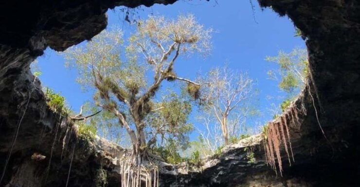 Merida: Santa Barbara Cenote Tour - Good To Know