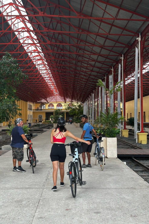 Mérida: the E-Bike Tour With History and Culture - Tour Highlights and Experience