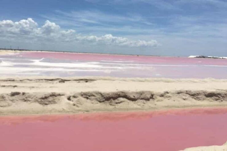 Merida: Tour Las Coloradas and Rio Lagartos - Itinerary Highlights