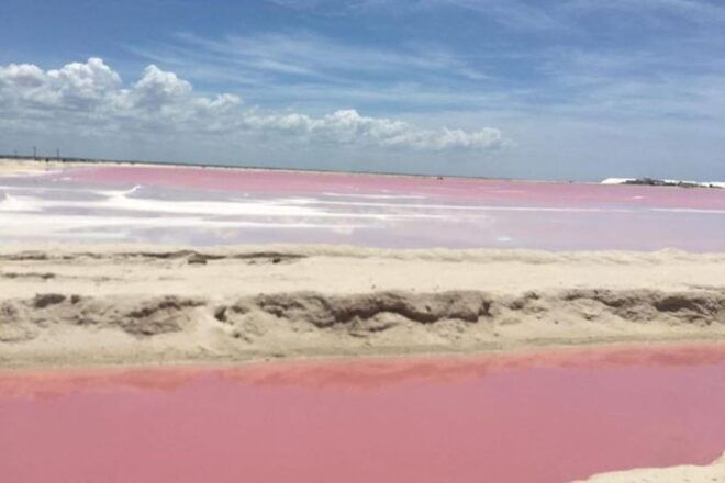 Merida: Tour Las Coloradas and Rio Lagartos - Photography Opportunities