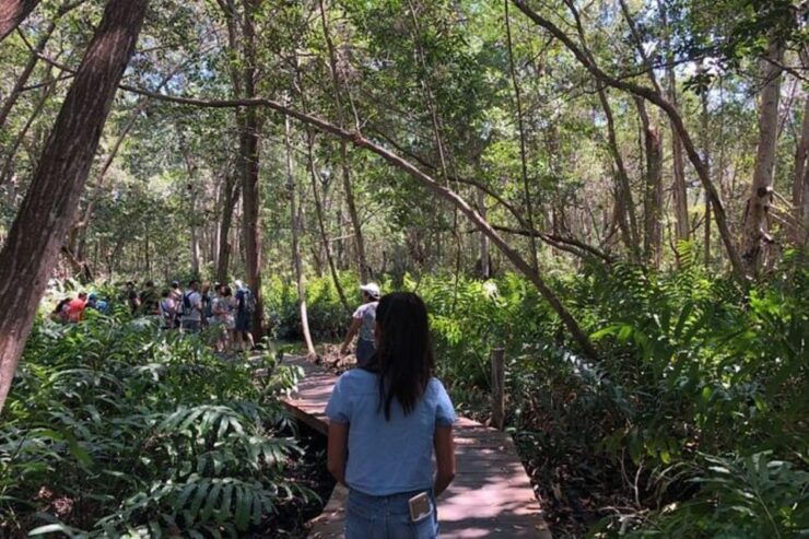Merida: Tour to Celestún - Good To Know