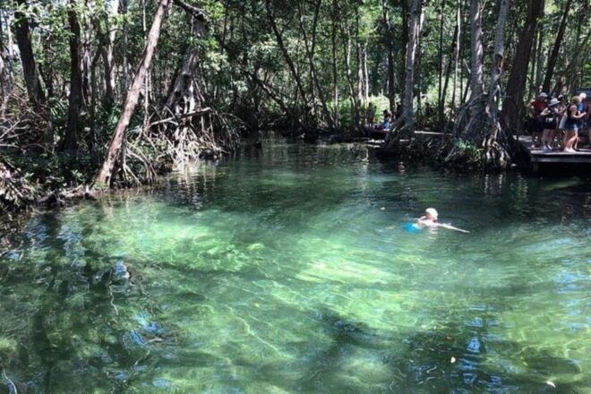 Merida: Tour to Celestún - Bird Watching Opportunities