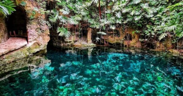 Merida: Uxmal, Hacienda, & Cenotes Gay Tour - Explore Uxmal
