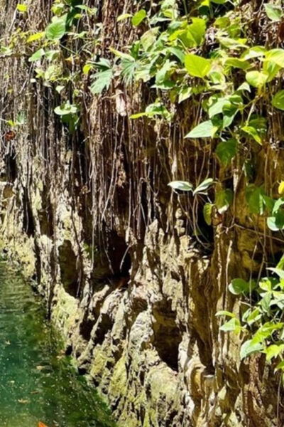 Merida: Uxmal, Hacienda, & Cenotes Gay Tour - Relax at Hacienda