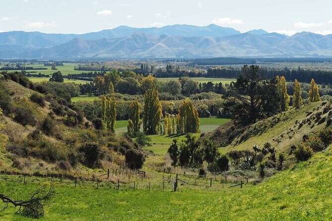 Merino Farm Experience - Practical Tips for Visitors