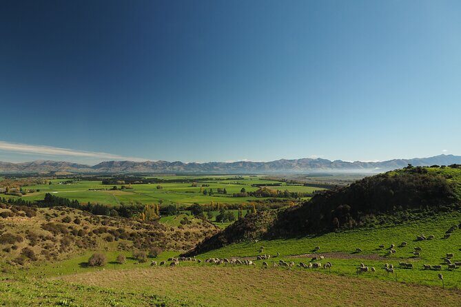 Merino Farm Experience - Who Will Love This Experience?