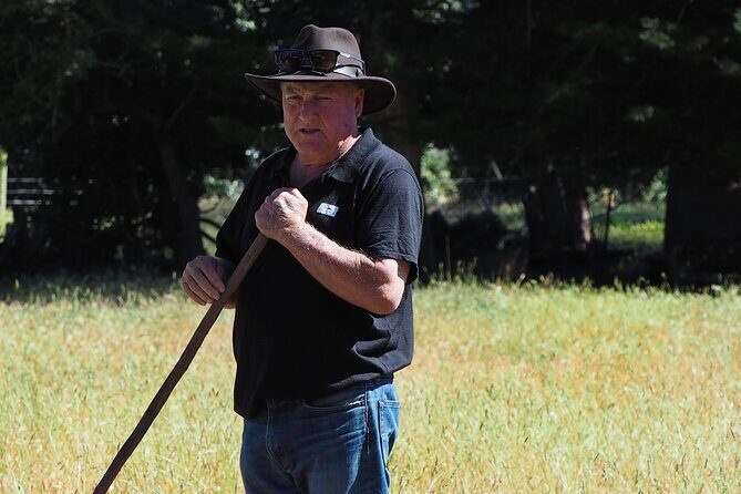 Merino Farm Experience - The Sum Up