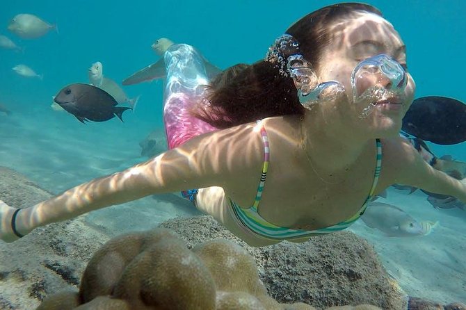 Mermaid Snorkel Tour and Video Shoot - Whats Included