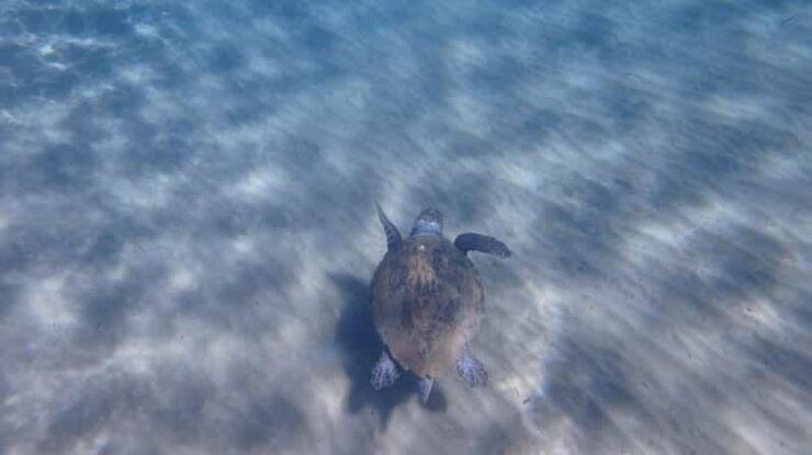 Mermaids in Kleftiko - Good To Know