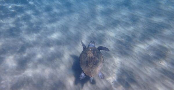 Mermaids in Kleftiko - Capturing Memories in Kleftiko