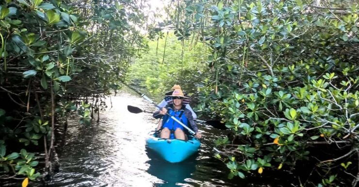 Merritt Island: Guided Kayak Eco-Tour Experience - Pricing and Booking
