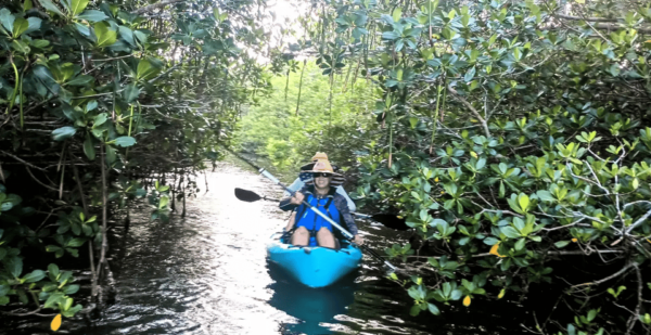 Merritt Island: Guided Kayak Eco-Tour Experience - Memorable Adventure