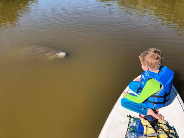 Merritt Island: Guided Kayak or SUP Tour Along Banana River - Tour Details
