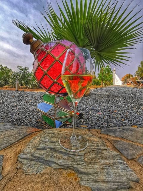 Mértola: Traditional Wine Tasting Experience - Good To Know