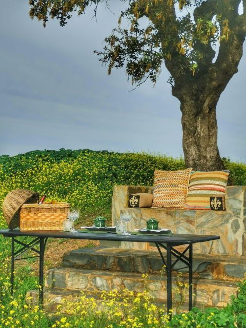 Mértola's Stunning Countryside Picnic - Culinary Delights and Local Wines