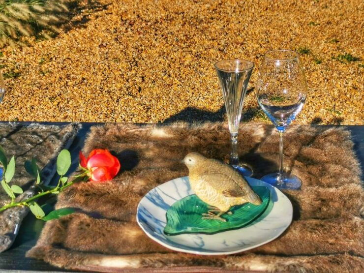 Mértola's Stunning Countryside Picnic - Scenic Picnic Setup and Welcome