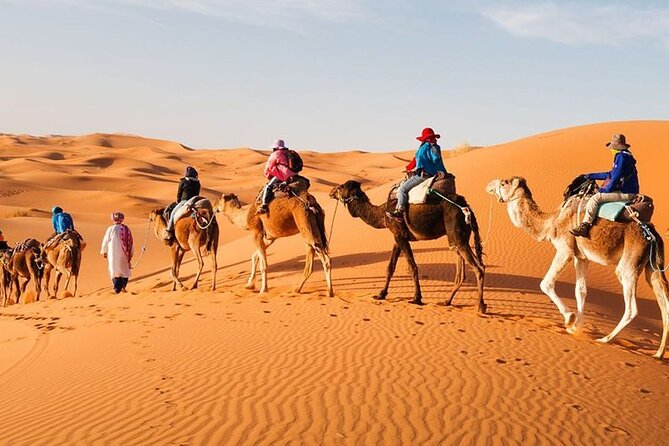 Merzoga Desert 3 Days Tour From Marrakech(Luxury Tour) - Traveler Reviews
