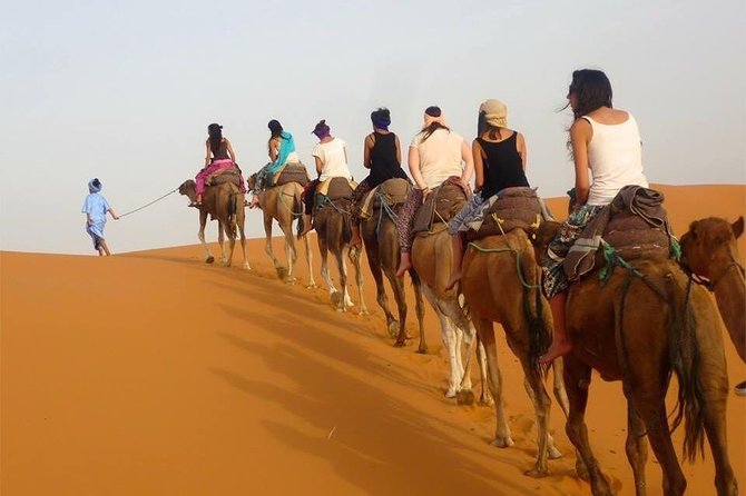 Merzouga 1-Night Luxury Berber Camp With Camels and More - Cancellation Policy