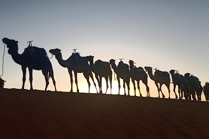 Merzouga Desert 3 Days Tour From Marrakech - The Sum Up