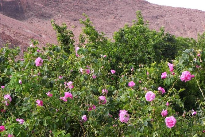 Merzouga Desert, Toudgha & Dades Gorges,Ouarzazate Atlas Mountaigns, 3 Days Tour - Weather Policy