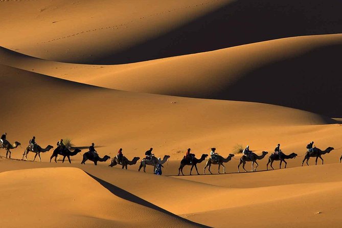 Merzouga Desert Tour From Marrakech & Camel Ride - Tour Details